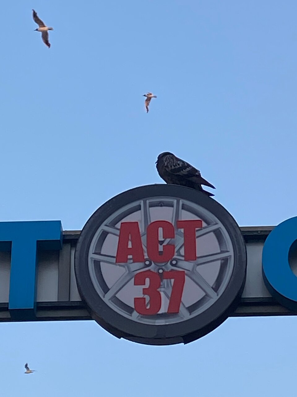 all