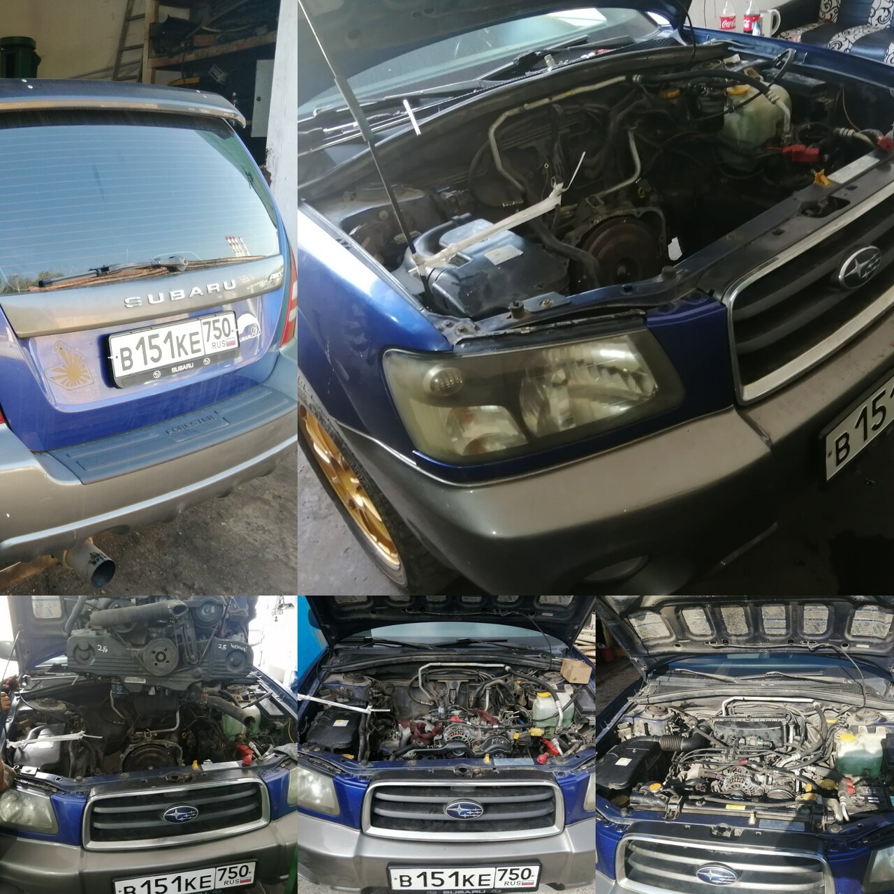 all