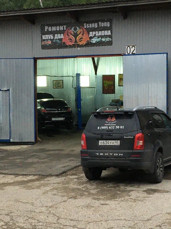 Два дракона