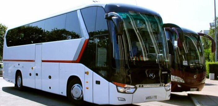 Go-Bus