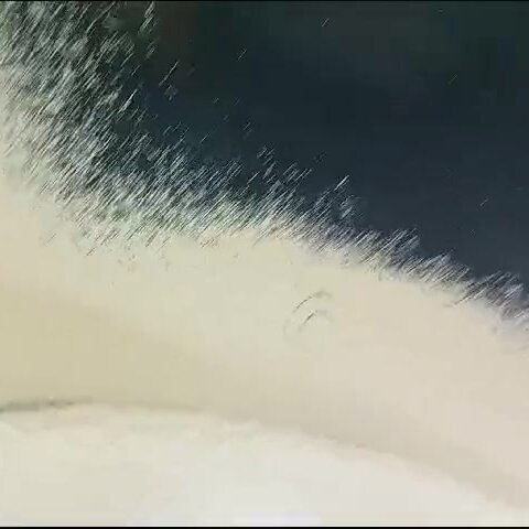 all