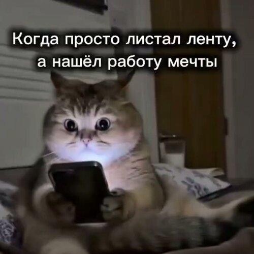 all