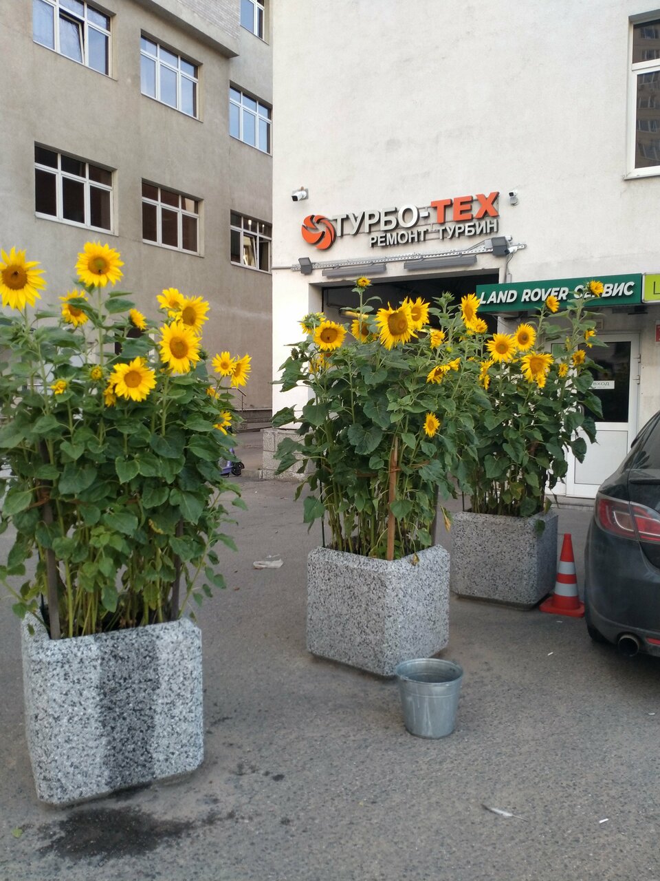 outside