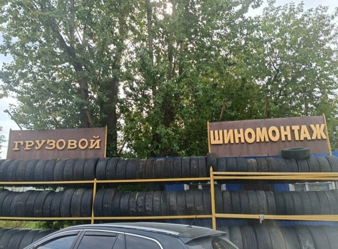 Speed шины