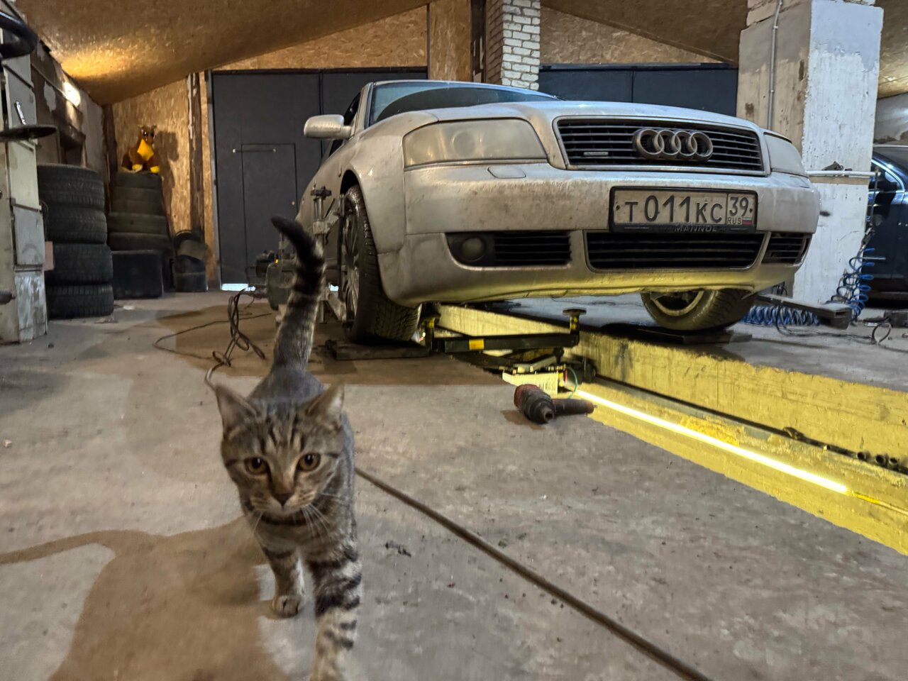 all