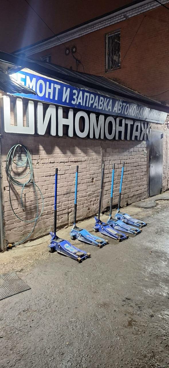 Стеллер шина