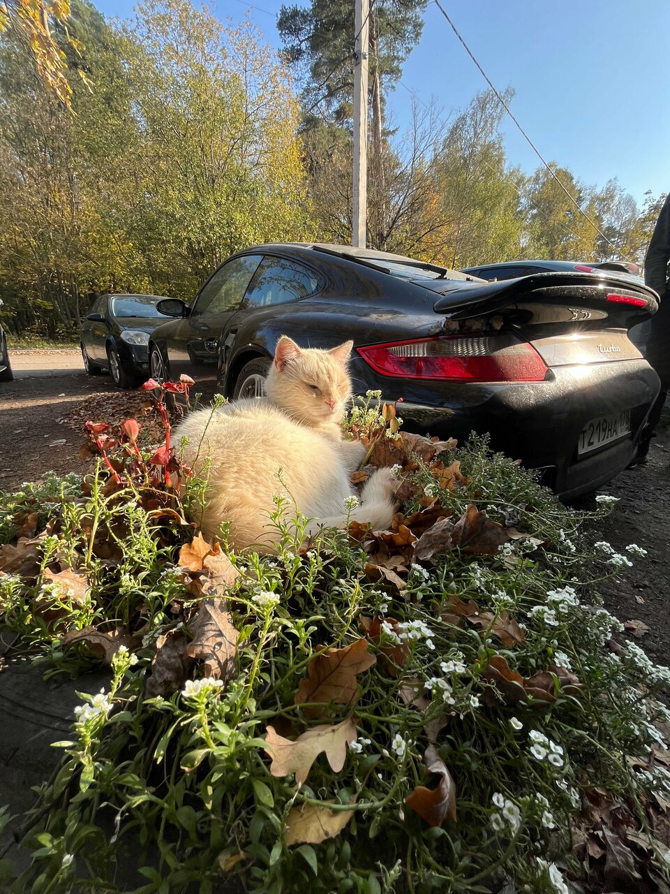 outside